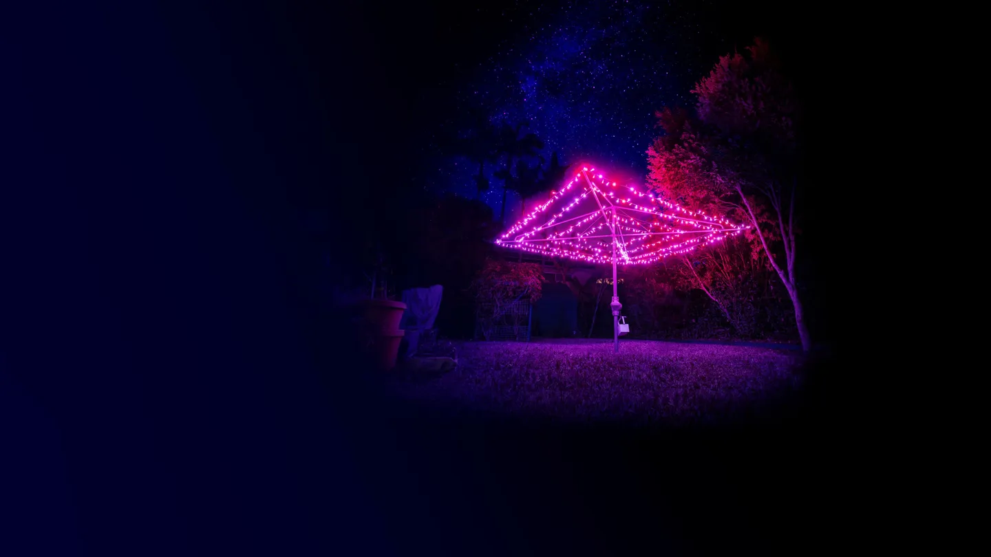 bf2020_backyard_v1_