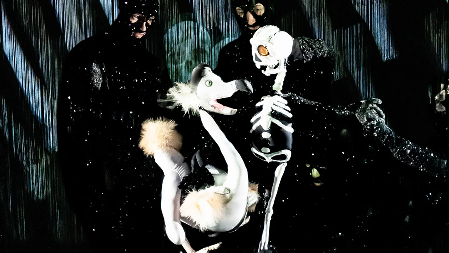 bf26_social_1080x1080_no_image-deadasadodo