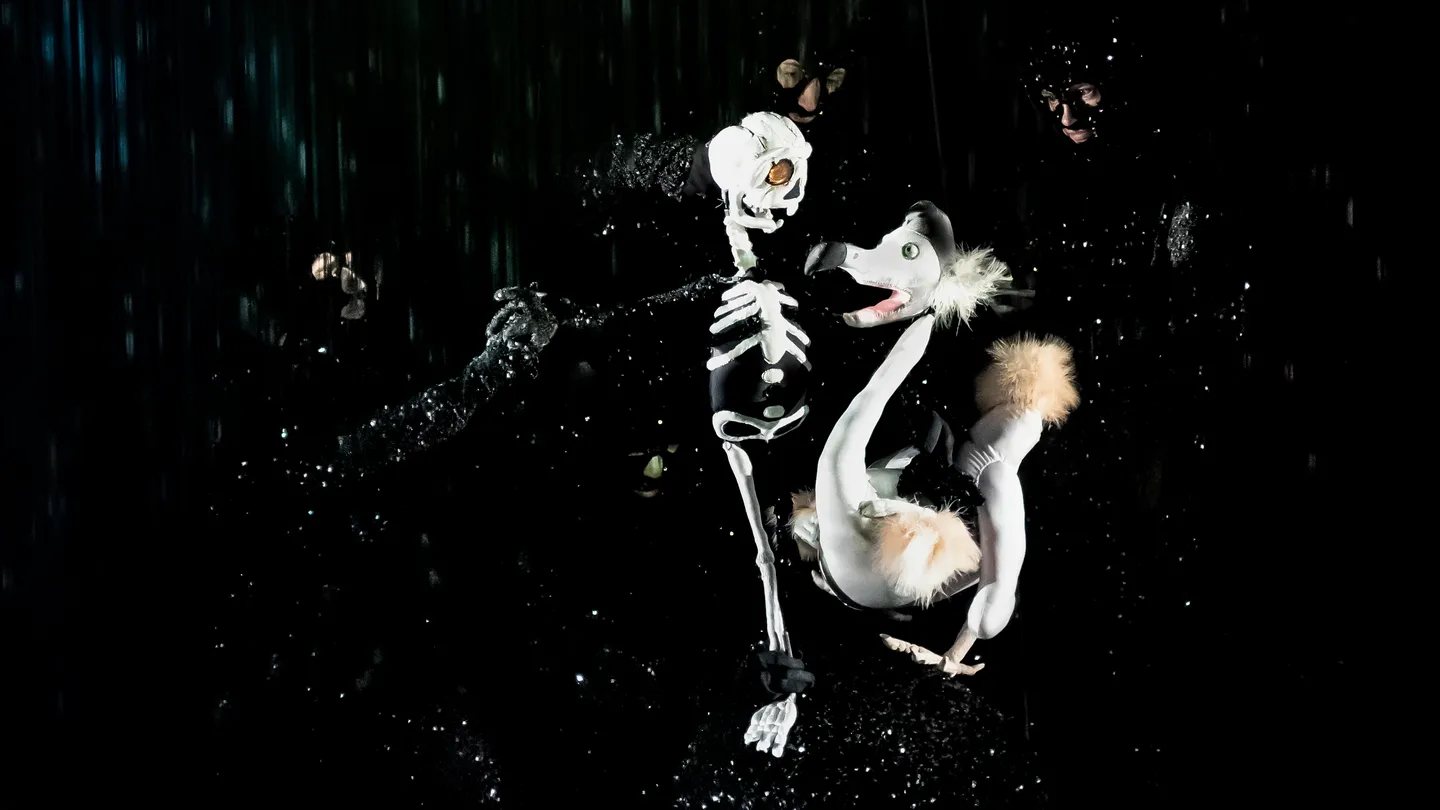 boy-and-dodo-credit-erato-tzavara2