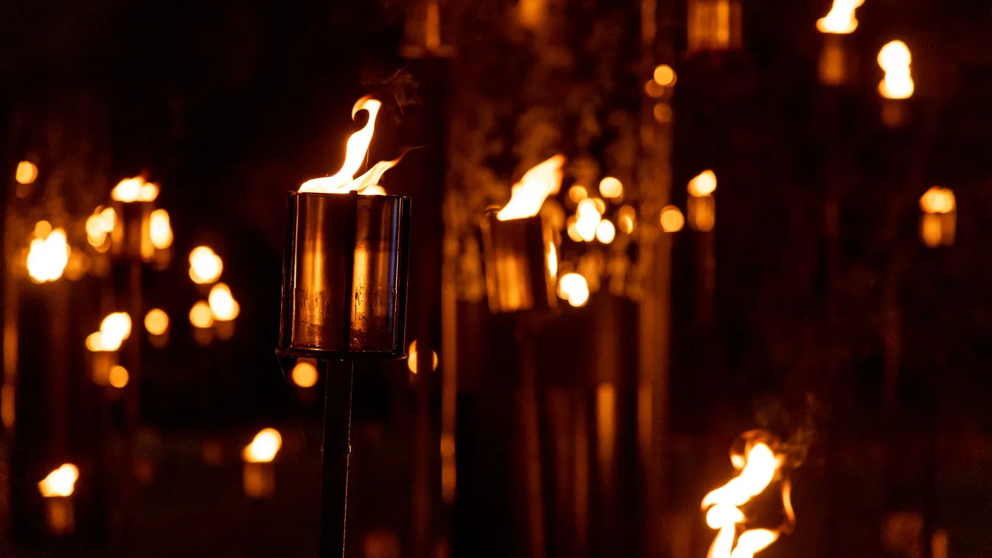 fire-garden-by-culture-creative2.-photo-by-rikard-osterlund-copyright-sony-music
