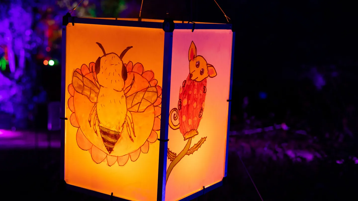 lantern