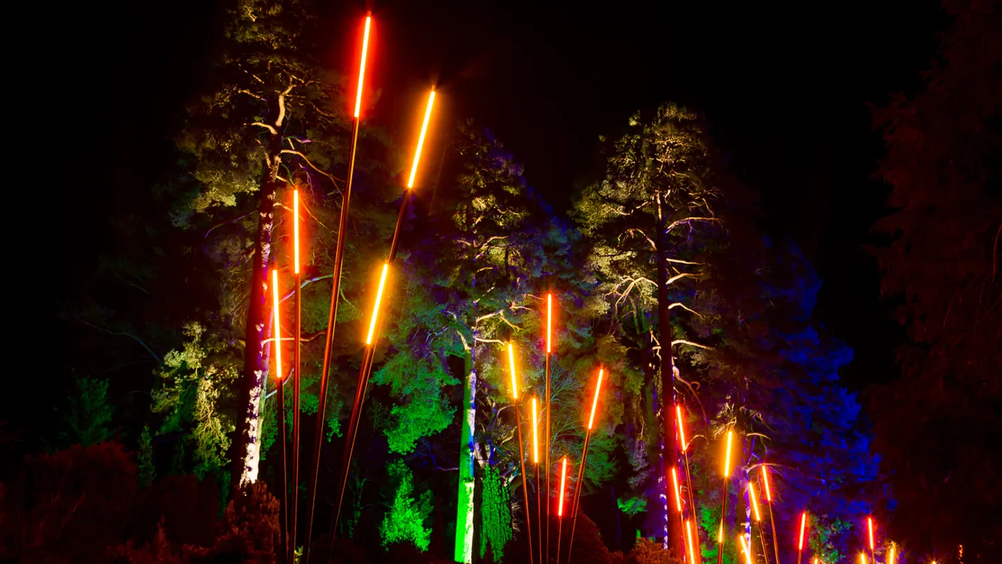 ros'os-afterglow-image-by-rikard-osterlund-(1)