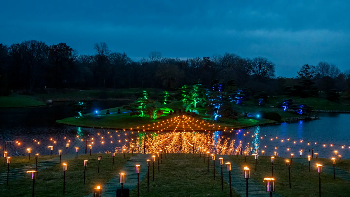 vista-lightscape-friends-and-family-20241113_dsc_1809