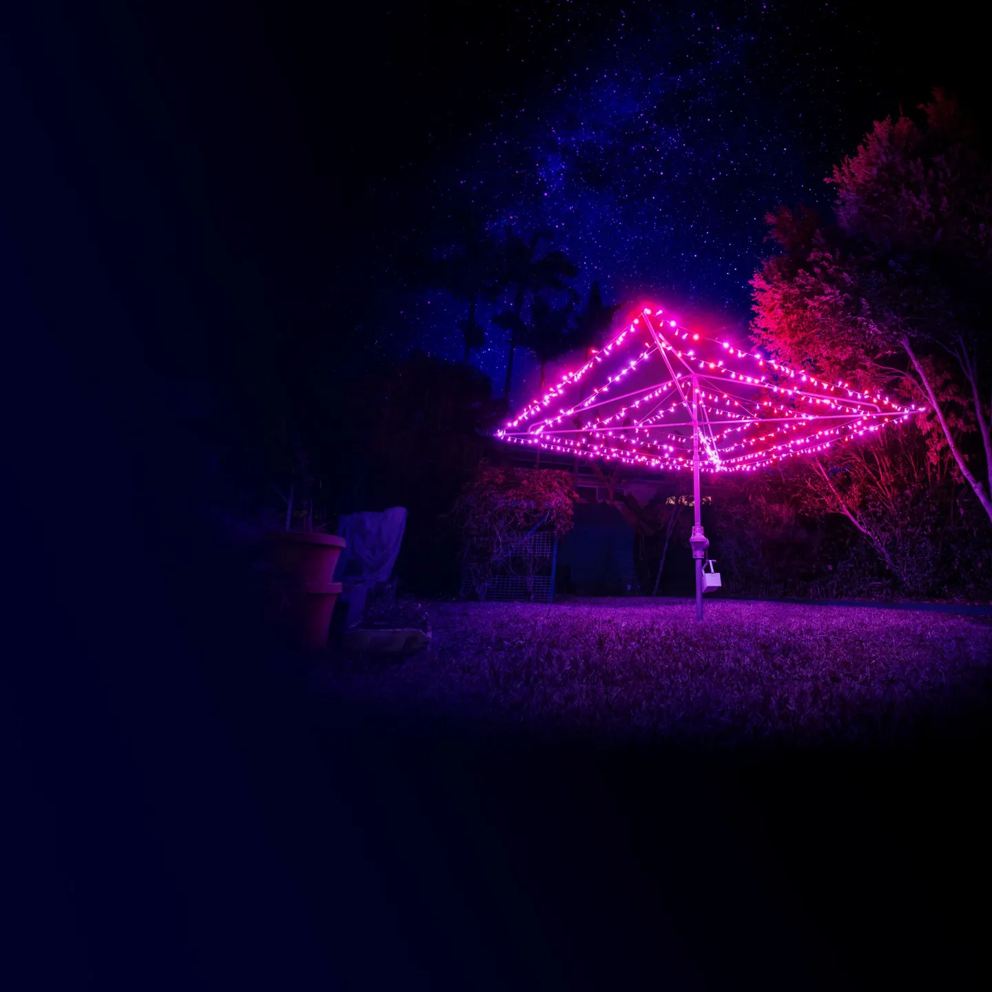 bf2020_backyard_v1_