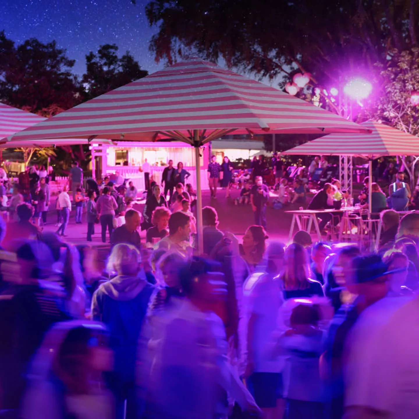 bf2024-festivalgarden-build-jpg