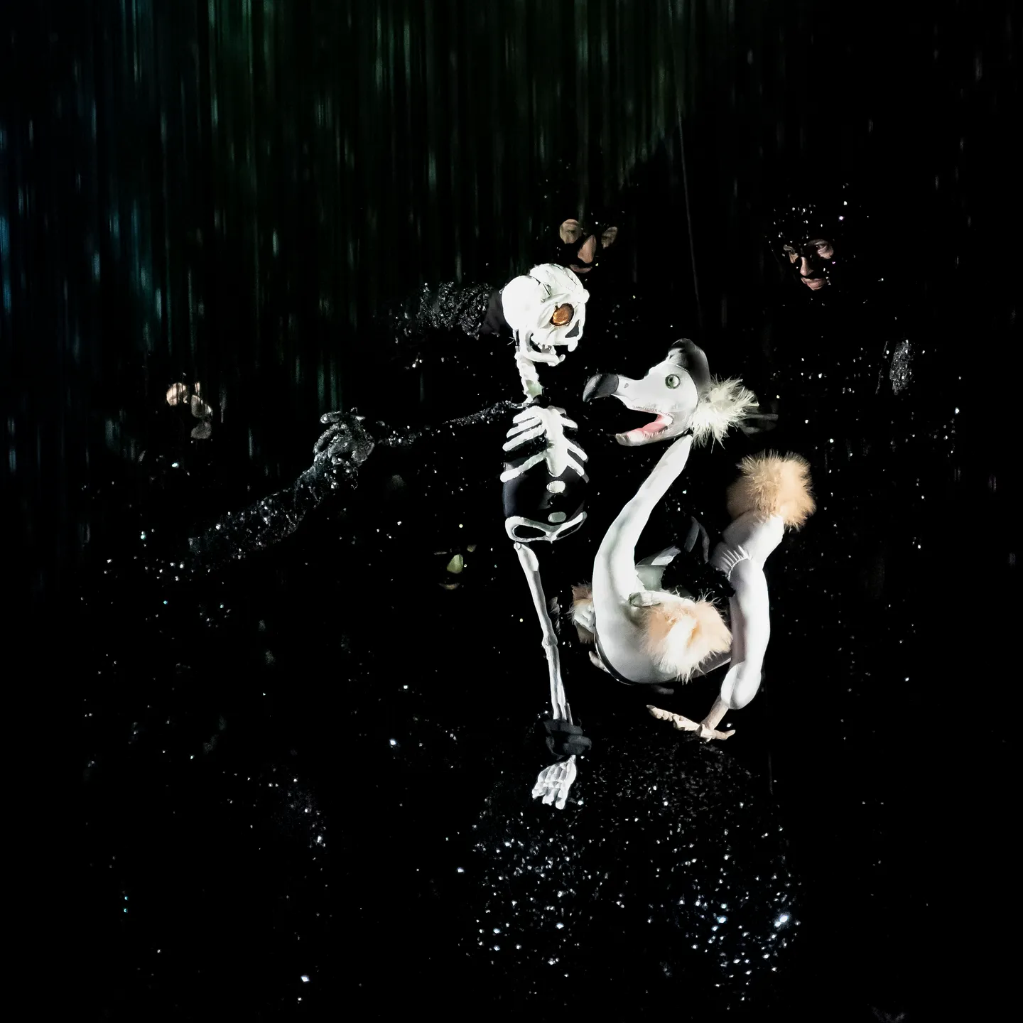 boy-and-dodo-credit-erato-tzavara2