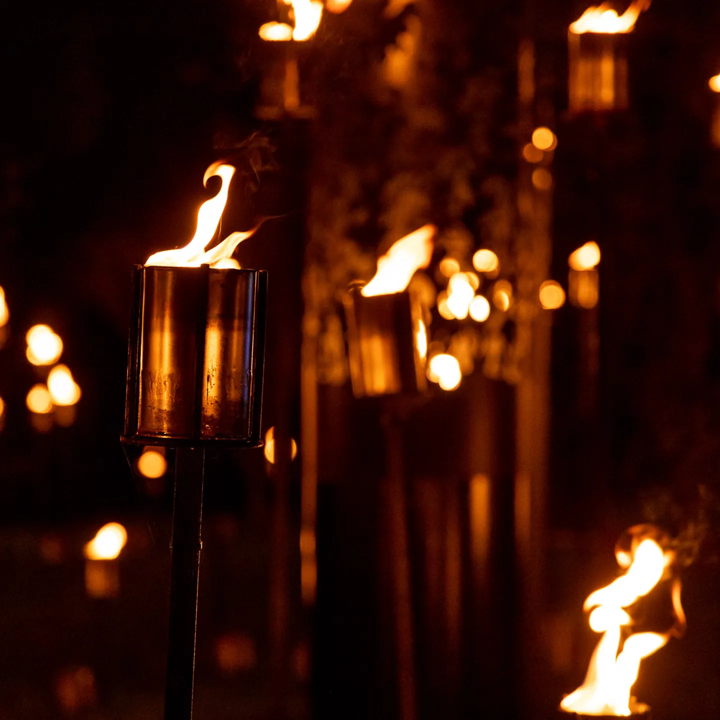 fire-garden-by-culture-creative2.-photo-by-rikard-osterlund-copyright-sony-music