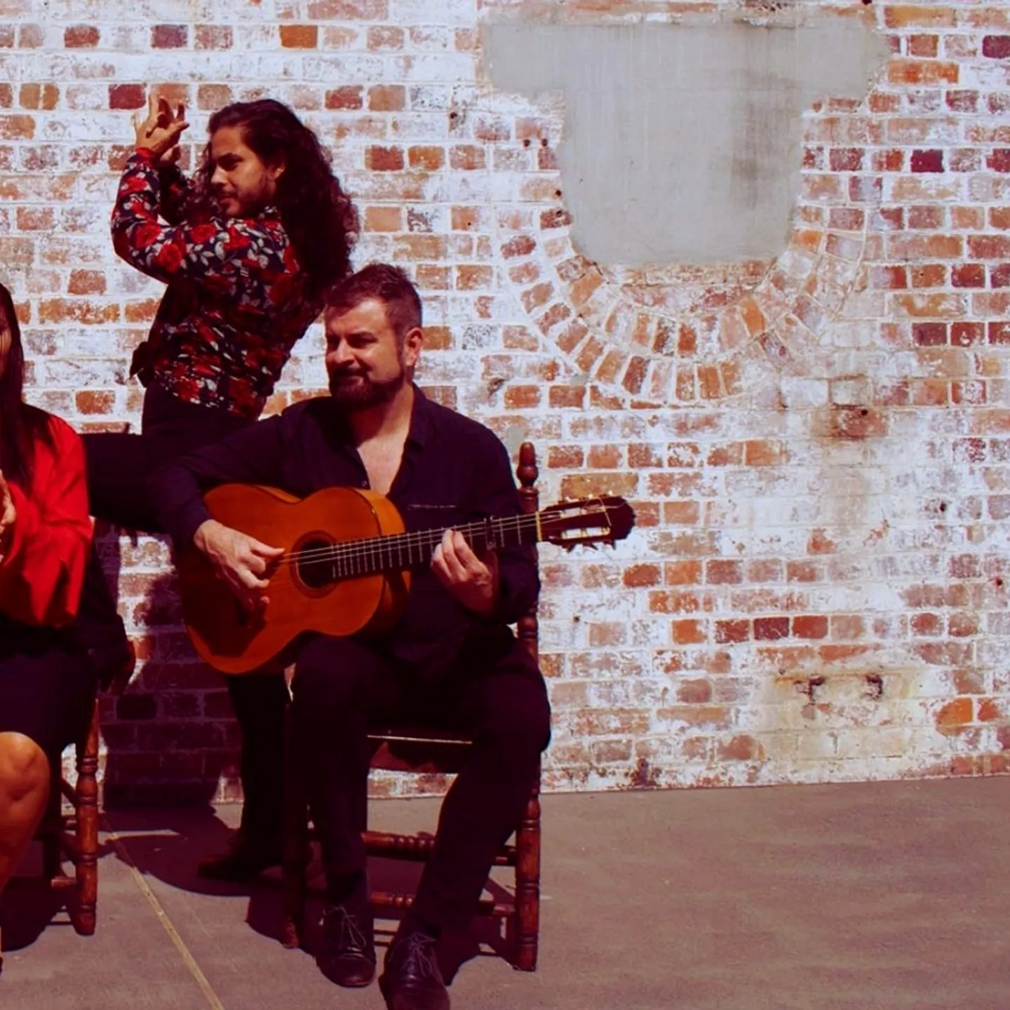 flamenco-house-1