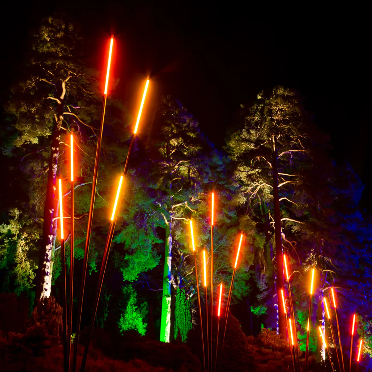 ros'os-afterglow-image-by-rikard-osterlund-(1)