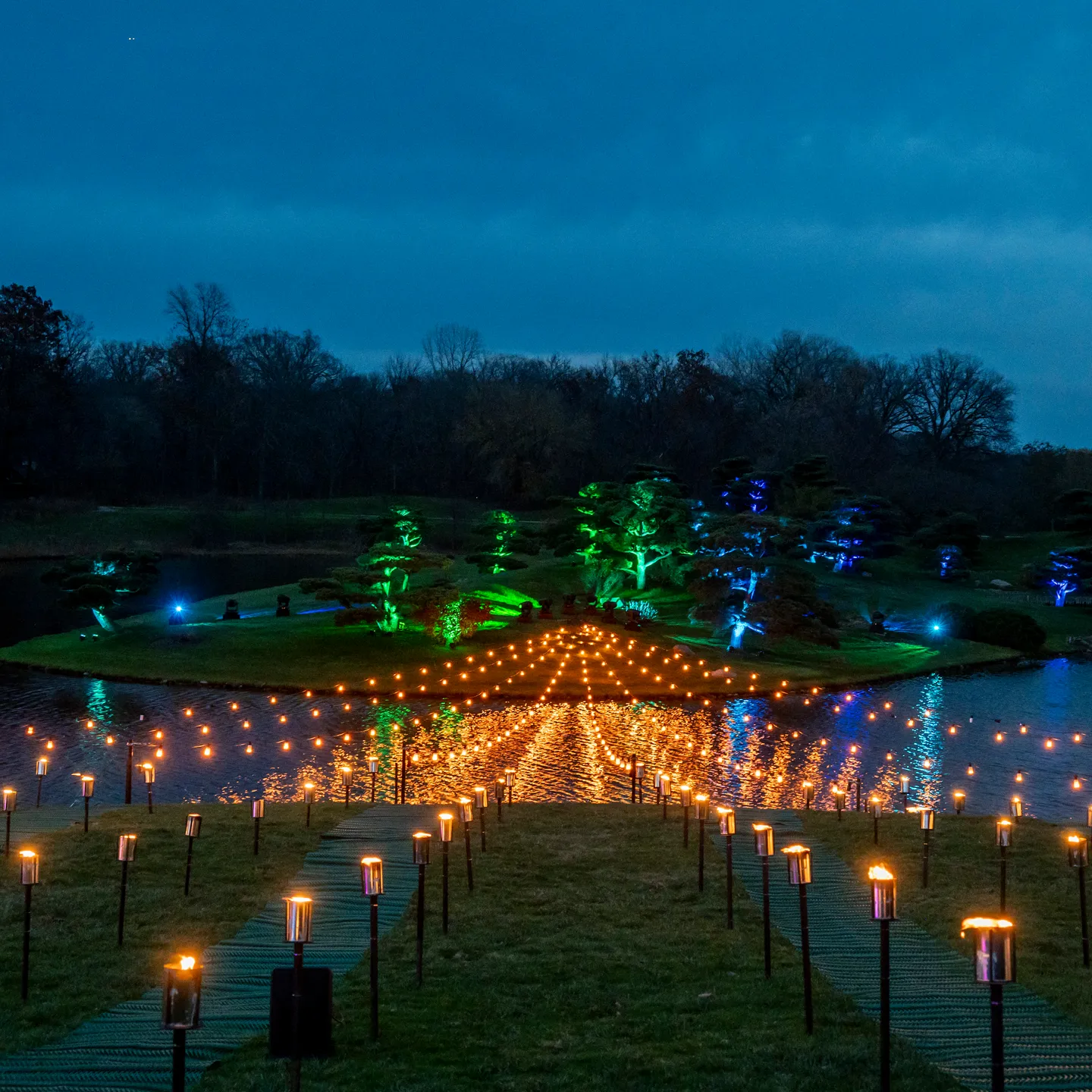 vista-lightscape-friends-and-family-20241113_dsc_1809