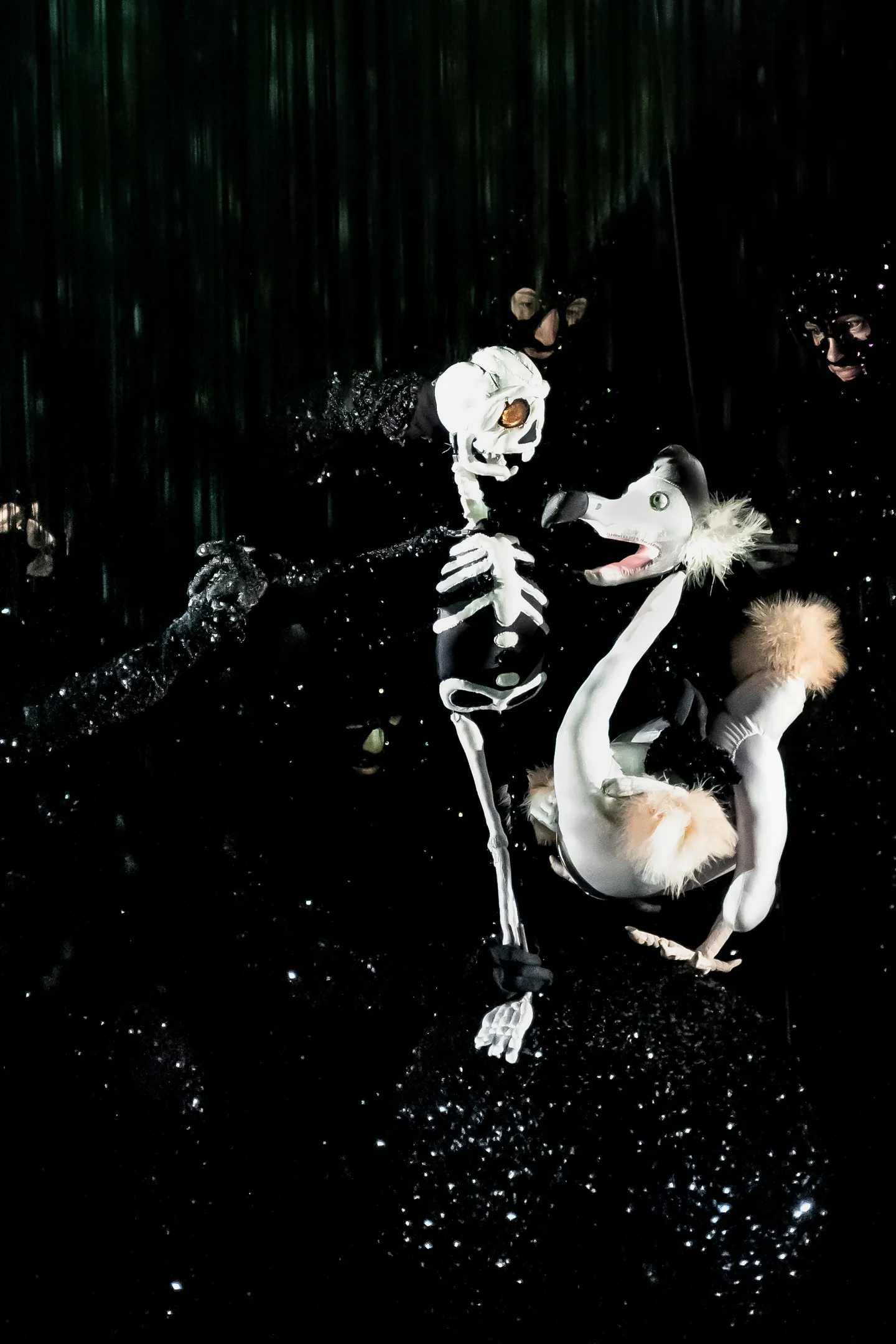 boy-and-dodo-credit-erato-tzavara2