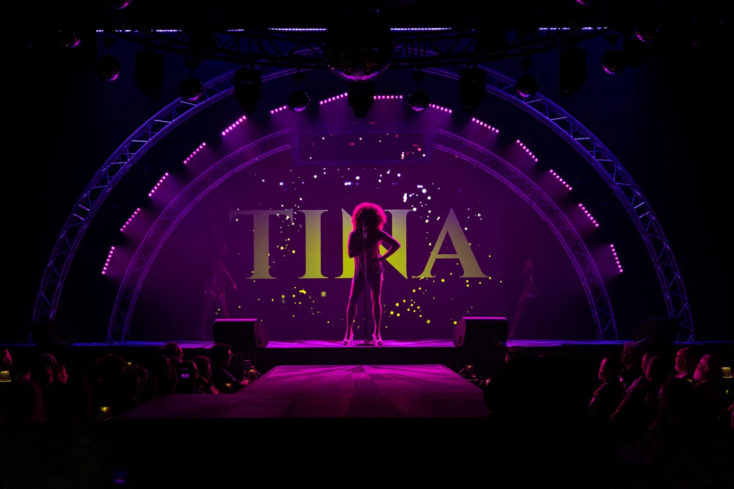 2025_sydfest_tina-turner_josephmayers-r5i_3627-enhanced-nr-(1)