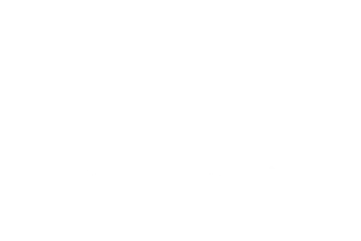 avanilogowhite