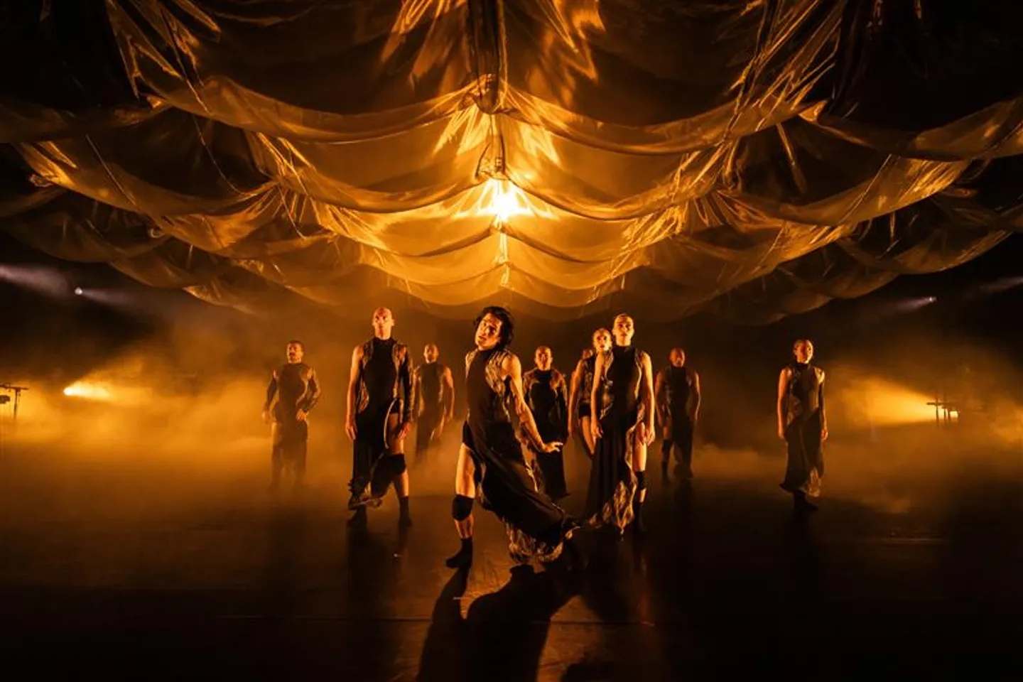 bad-nature-photo-david-kelly-3217-(1)