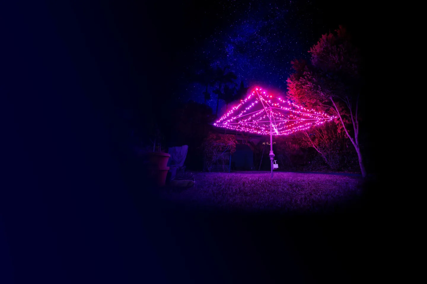 bf2020_backyard_v1_
