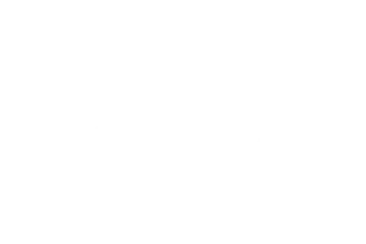 bf25_partners_anz_600x600_r
