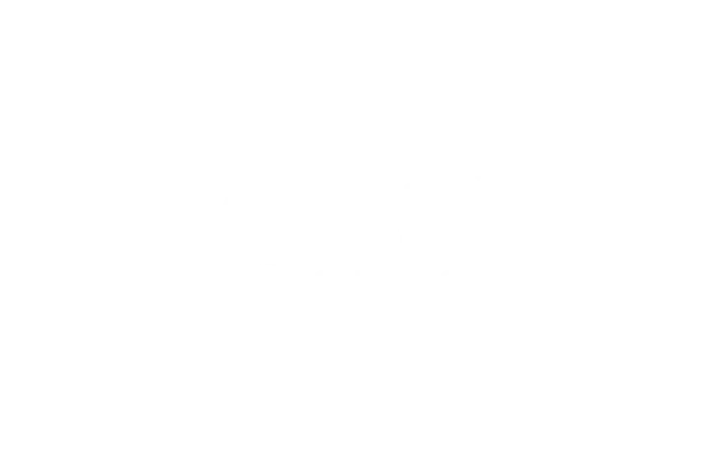 bf25_partners_goa_600x600_r