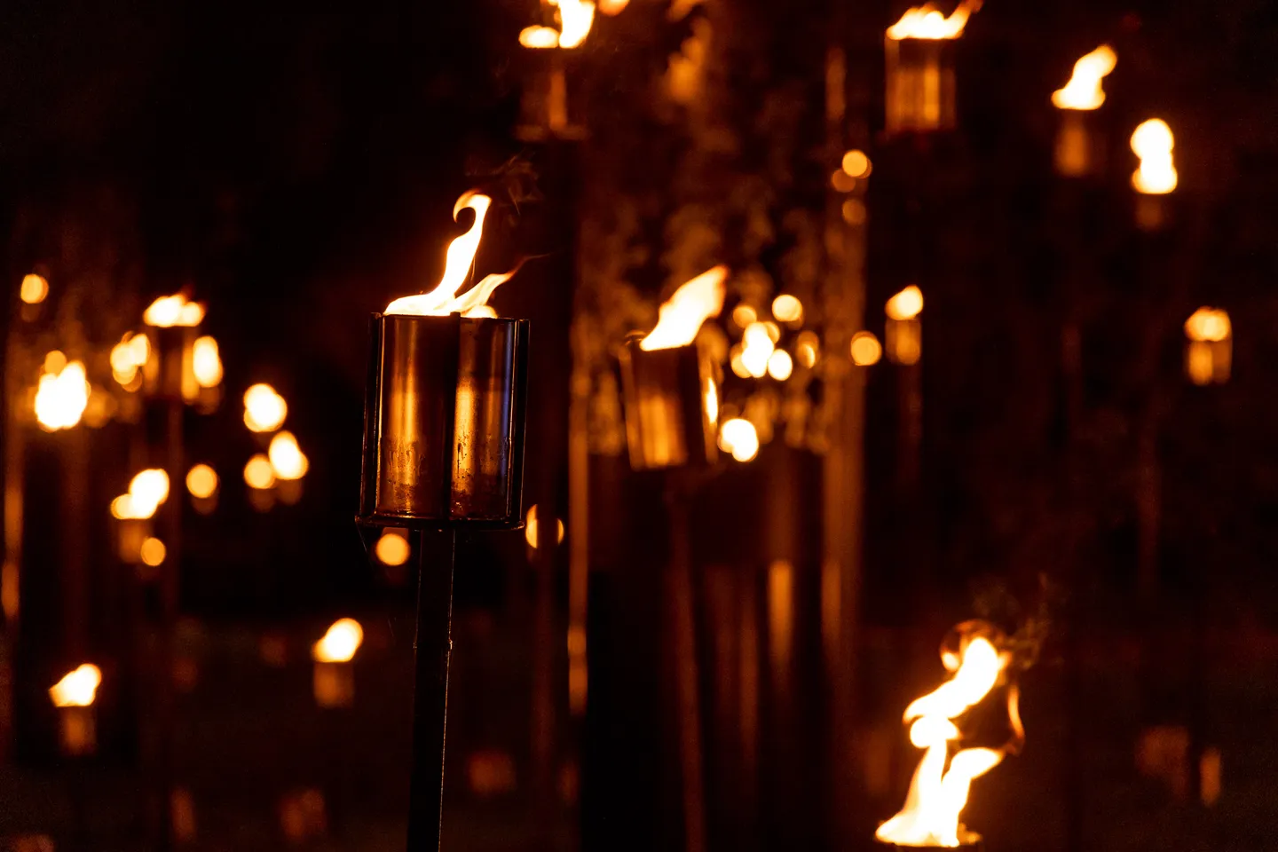fire-garden-by-culture-creative2.-photo-by-rikard-osterlund-copyright-sony-music