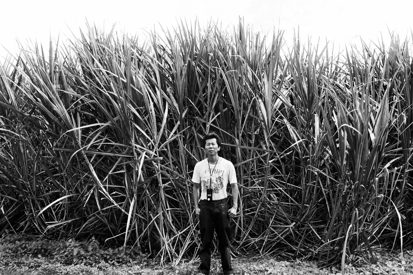milestone_williamyangself-portrait-1-1992-sharp