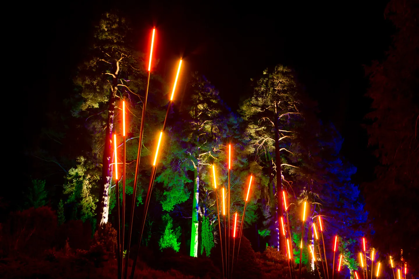 ros'os-afterglow-image-by-rikard-osterlund-(1)
