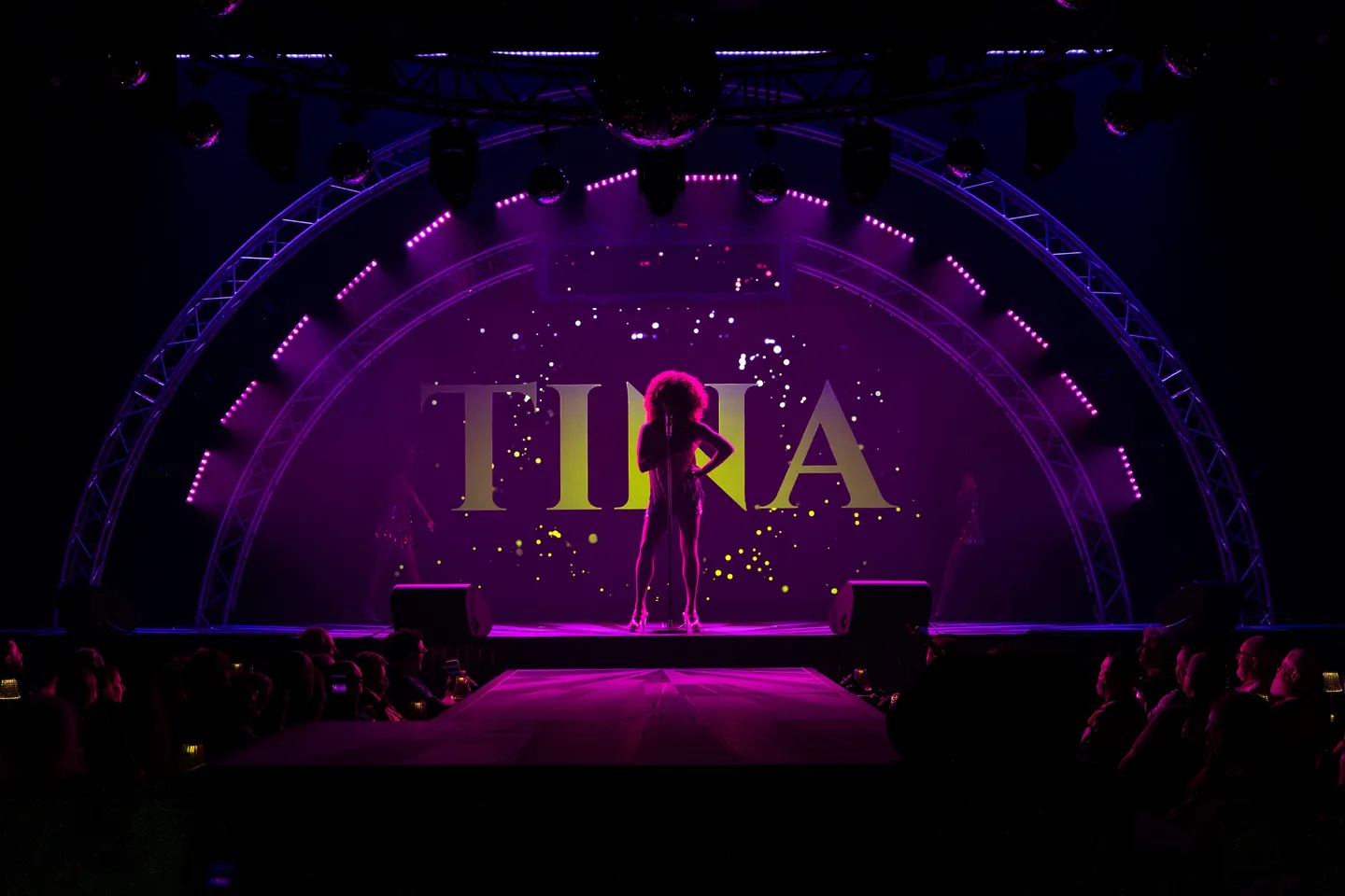 tina_2025_sydfest_tina-turner_josephmayers-r5i_3627-enhanced-nr