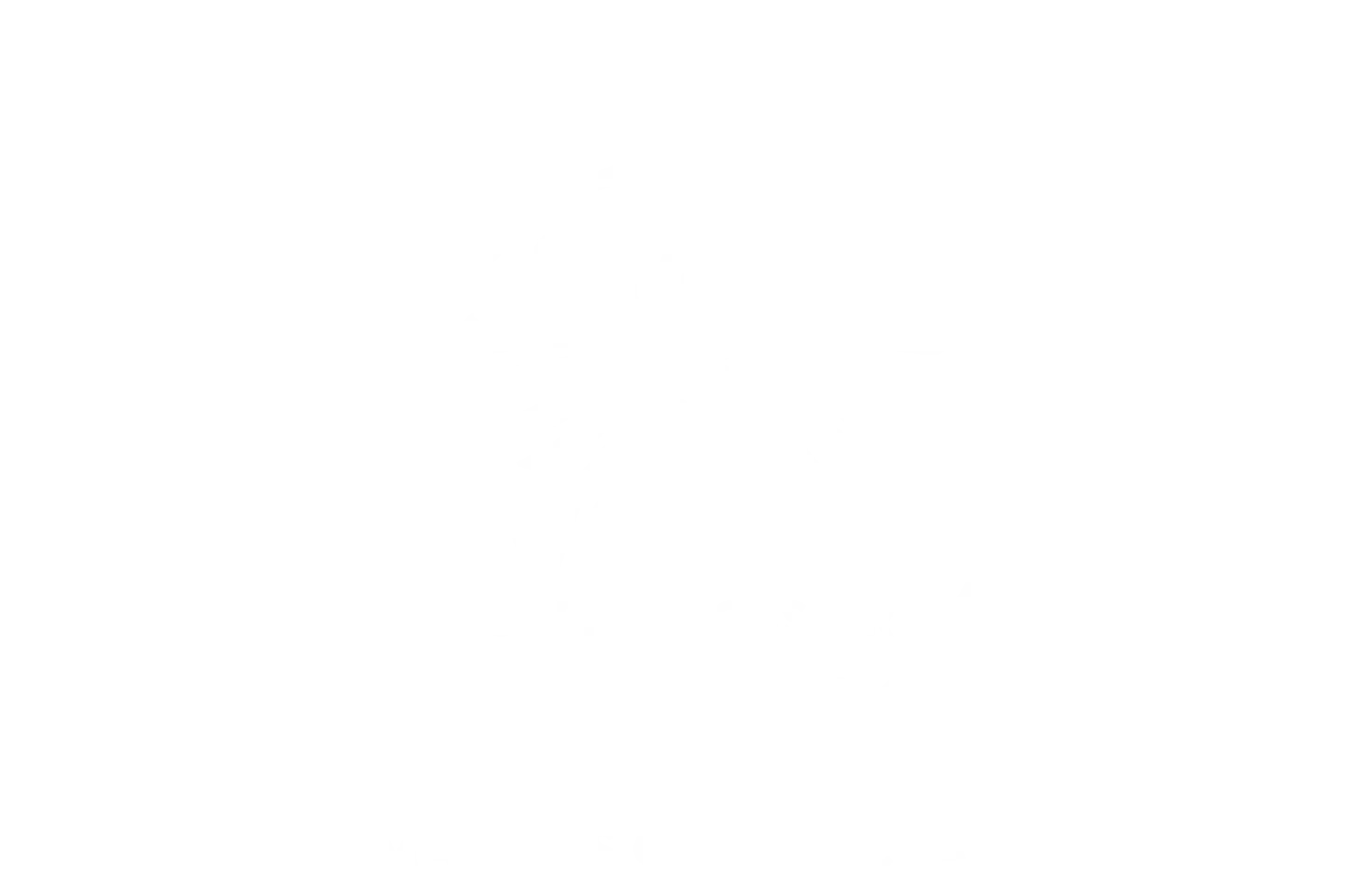 wolfflogowhite