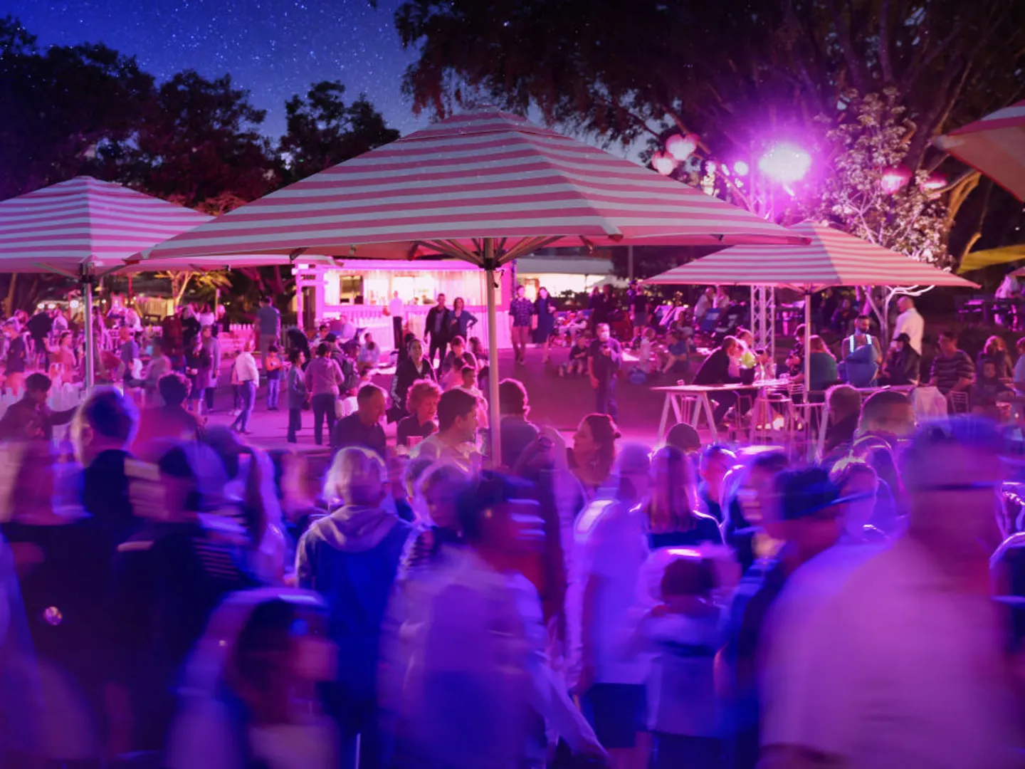 bf2024-festivalgarden-build-jpg