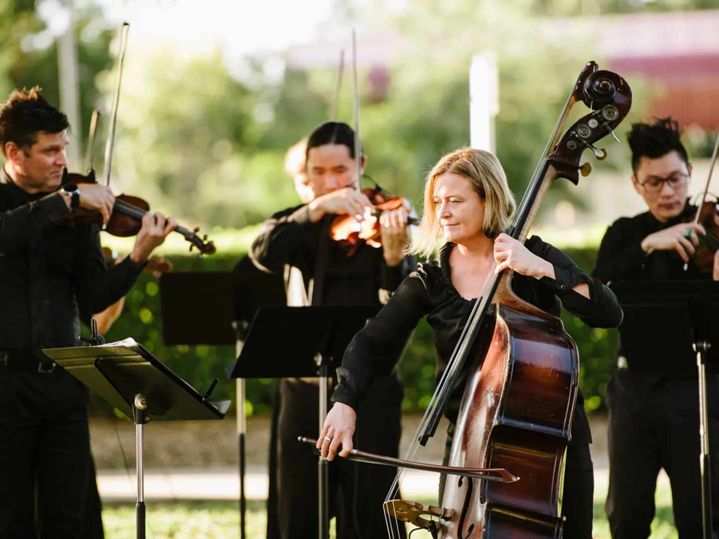 camerata-brisfest-musical-mantras