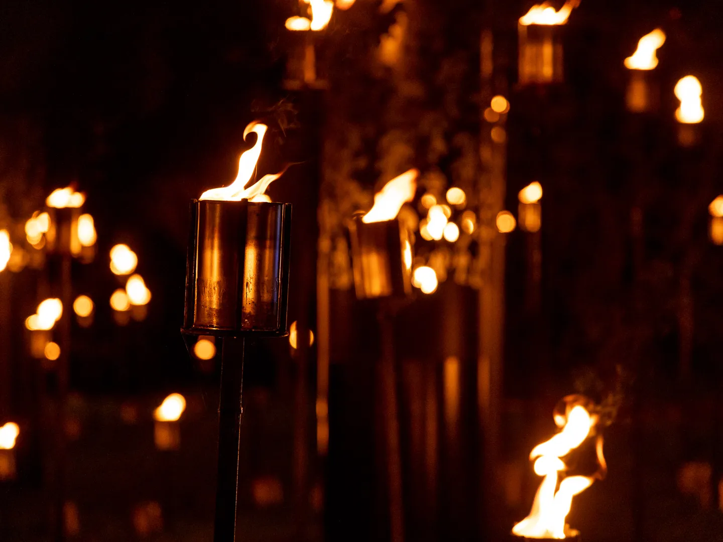 fire-garden-by-culture-creative2.-photo-by-rikard-osterlund-copyright-sony-music