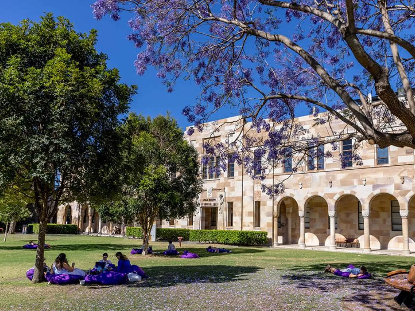 jacarandas-lm-55_0