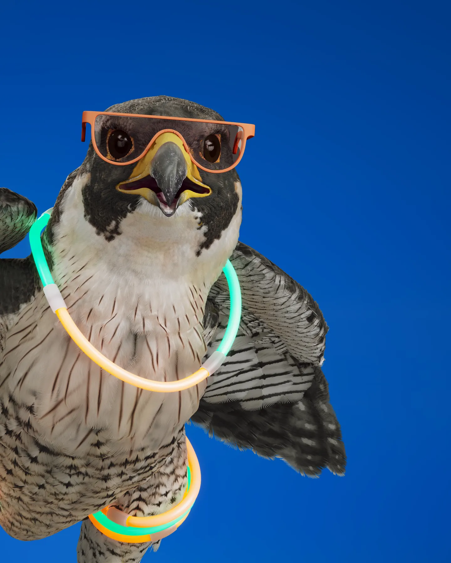 still020_nk_comp_004_01_mg_falcon.1132_bright