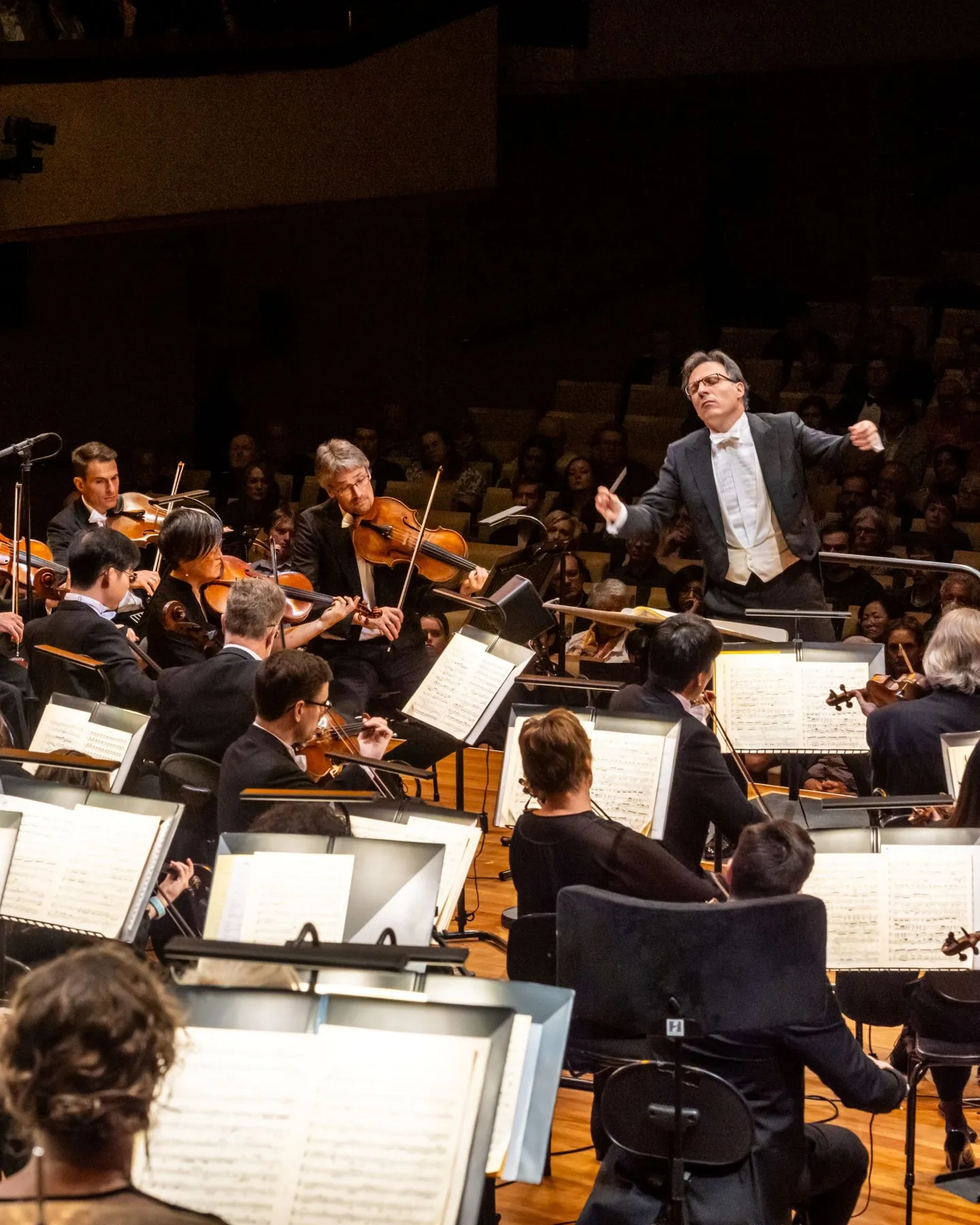 header_shostakovich-ten_umberto-clerici_darren-thomas