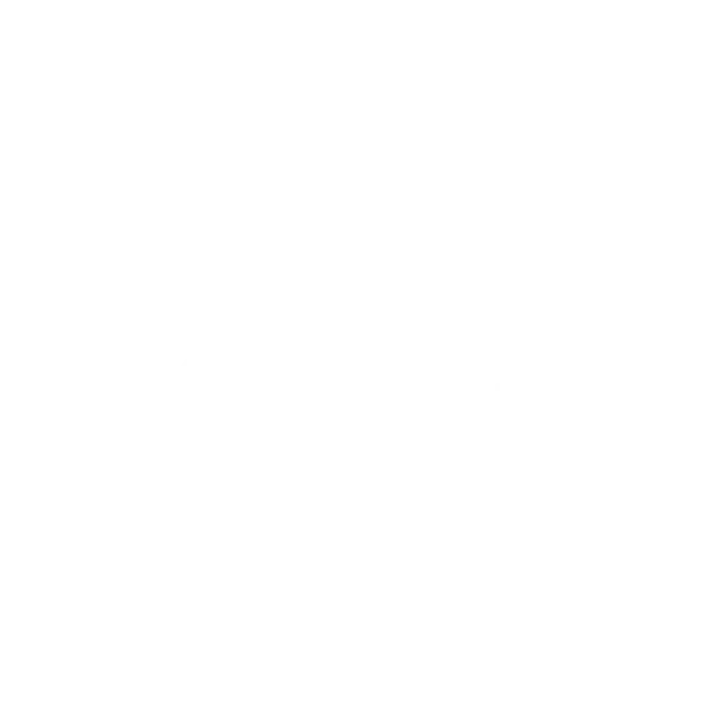 bf25_partners_anz_600x600_r