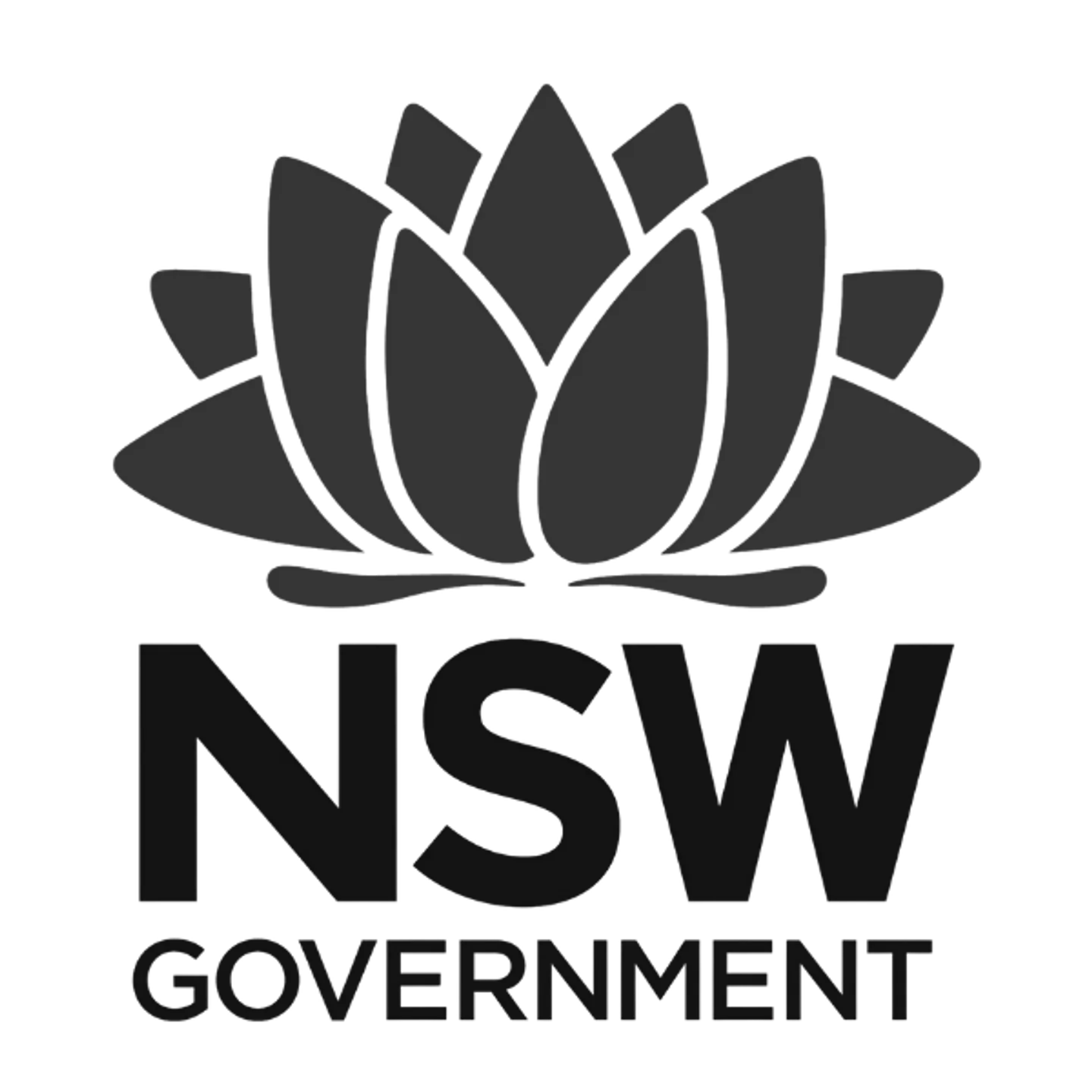bf25_partners_nsw-government_600x600_