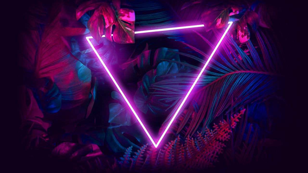 Technological theatre lights up the forest