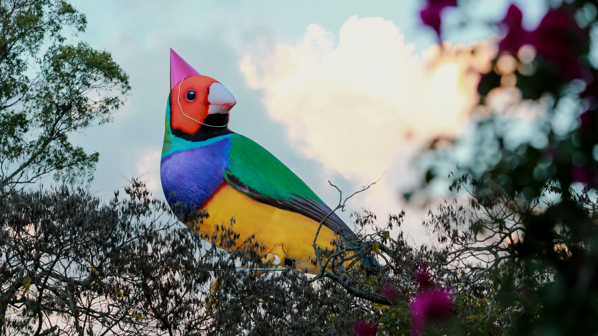 A large-scale art installation of a colourful Gouldian Finch bird wearing a pink party hat. The bird rests in the treetops amongst a background of blue sky. 