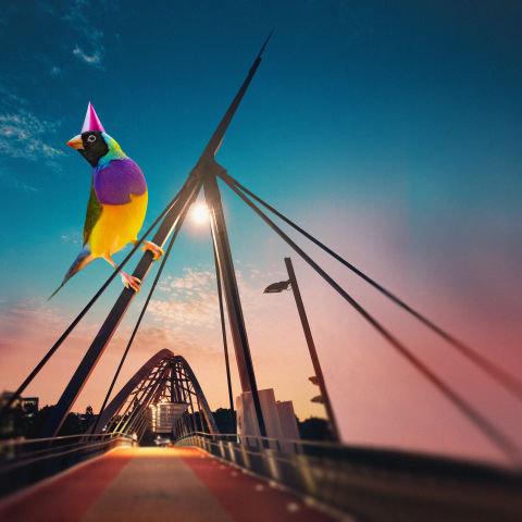 Florentijn Hofman's Messengers of Brisbane
