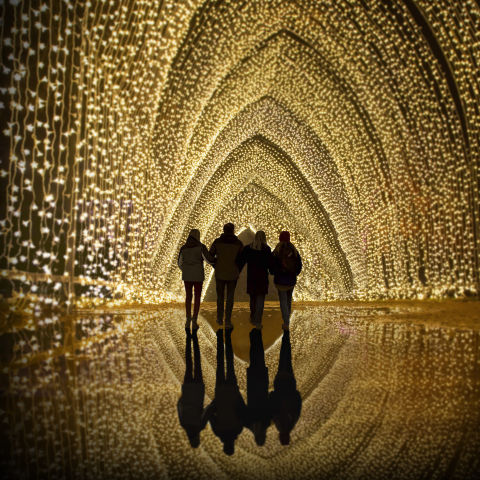 Lightscape