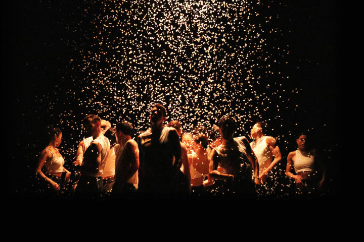 The Contemporary Music Acts Headlining Brisbane Festival